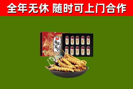 峡江县回收冬虫夏草价格